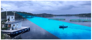 Micran đã triển khai hệ thống bảo mật FishGUARD mới
